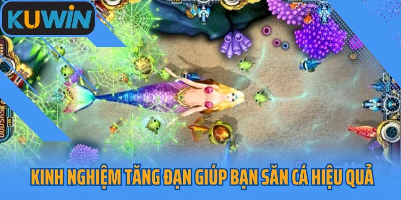 Kinh nghiệm tăng đạn giúp bạn săn cá hiệu quả